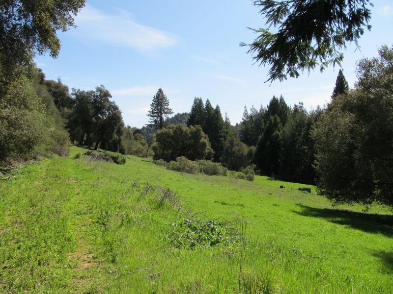 0 Two Bar Road, BOULDER CREEK, California 95006, ,Lots And Land,For Sale,Two Bar Road,40967470