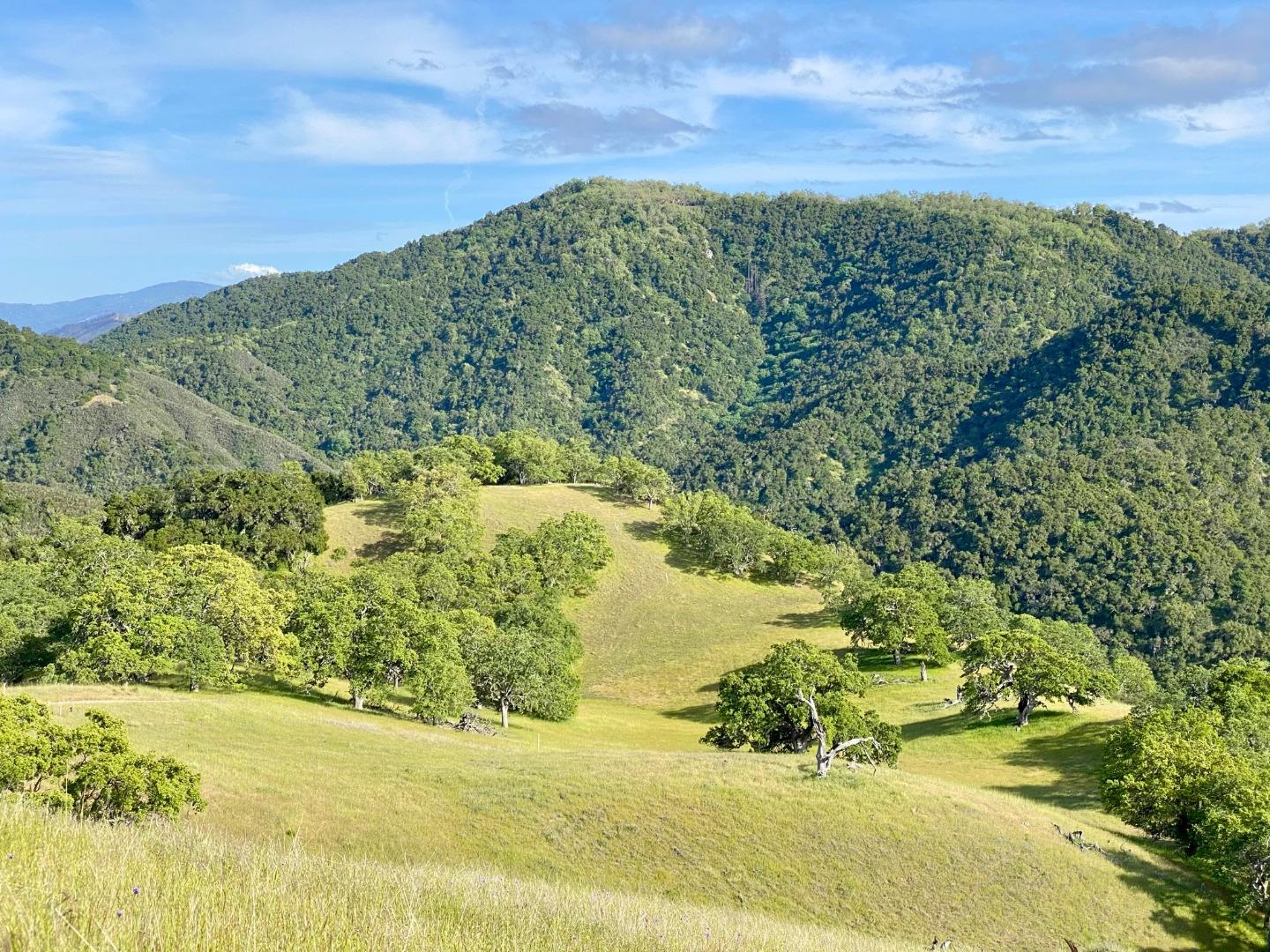 17 Black Mountain Trail, CARMEL VALLEY, California 93923, ,Lots And Land,For Sale,Black Mountain Trail,40961993
