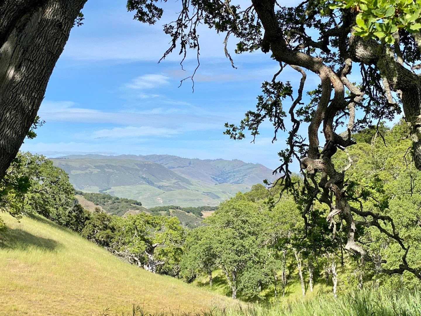 17 Black Mountain Trail, CARMEL VALLEY, California 93923, ,Lots And Land,For Sale,Black Mountain Trail,40961993