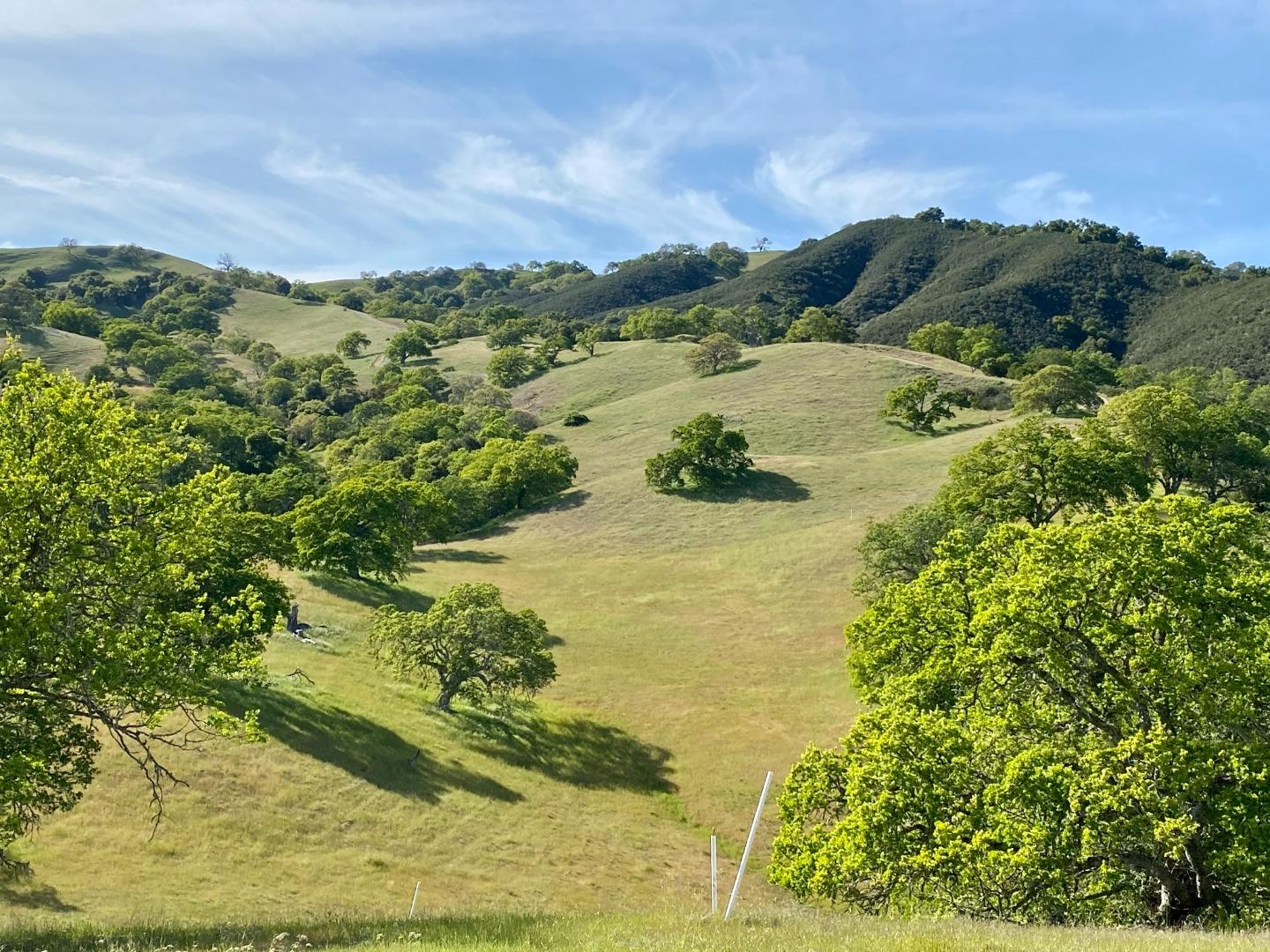 17 Black Mountain Trail, CARMEL VALLEY, California 93923, ,Lots And Land,For Sale,Black Mountain Trail,40961993
