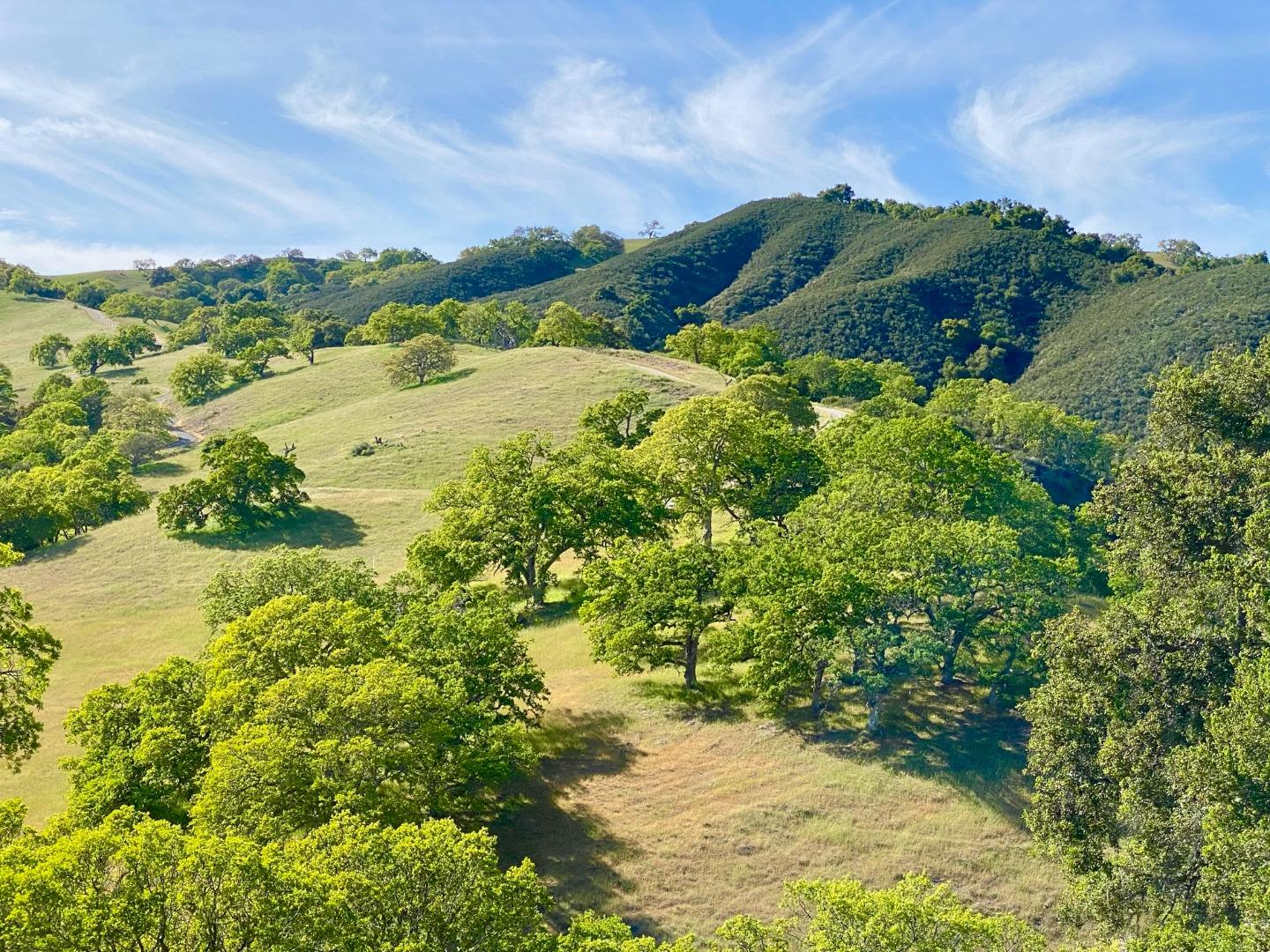 17 Black Mountain Trail, CARMEL VALLEY, California 93923, ,Lots And Land,For Sale,Black Mountain Trail,40961993