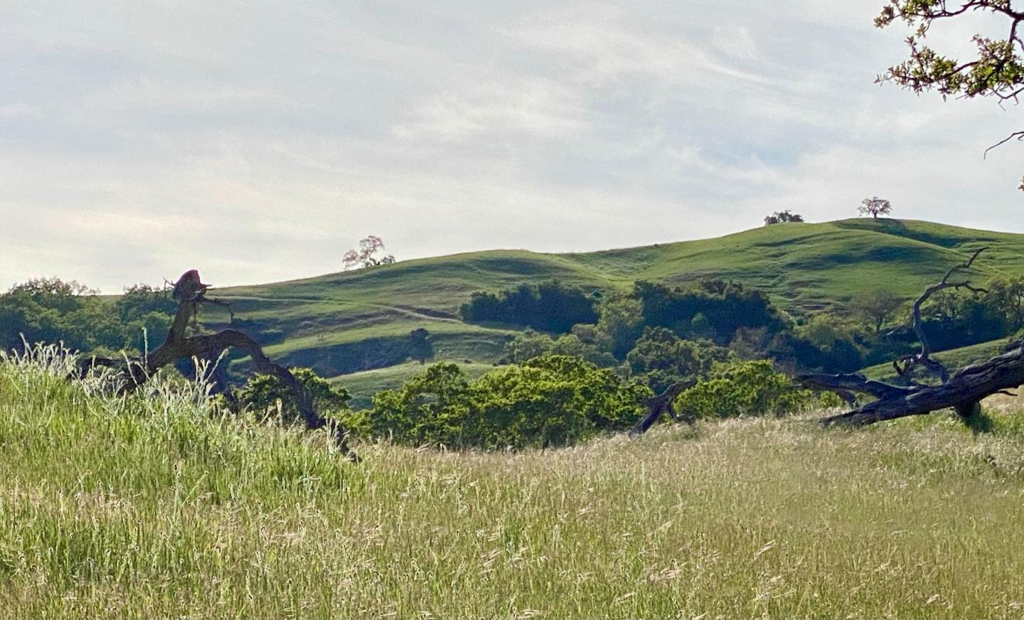 17 Black Mountain Trail, CARMEL VALLEY, California 93923, ,Lots And Land,For Sale,Black Mountain Trail,40961993