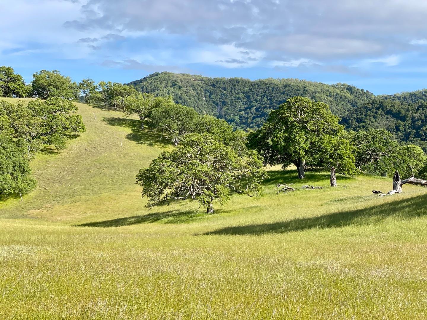 17 Black Mountain Trail, CARMEL VALLEY, California 93923, ,Lots And Land,For Sale,Black Mountain Trail,40961993