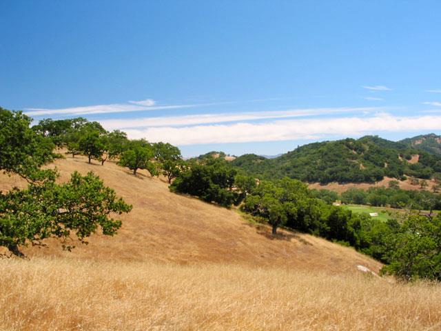 35 Pronghorn Run, CARMEL, California 93923, ,Lots And Land,For Sale,Pronghorn Run,40961871