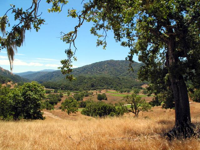 35 Pronghorn Run, CARMEL, California 93923, ,Lots And Land,For Sale,Pronghorn Run,40961871