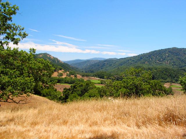 35 Pronghorn Run, CARMEL, California 93923, ,Lots And Land,For Sale,Pronghorn Run,40961871