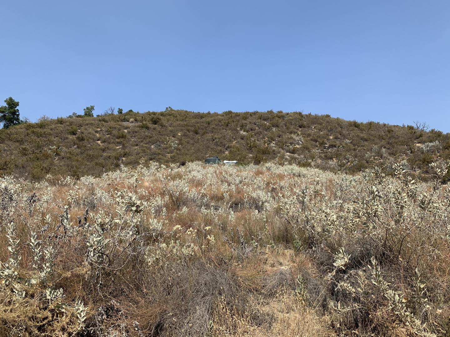 38391 Milpitas, Jolon, CA 93928 Beds Baths (Canceled