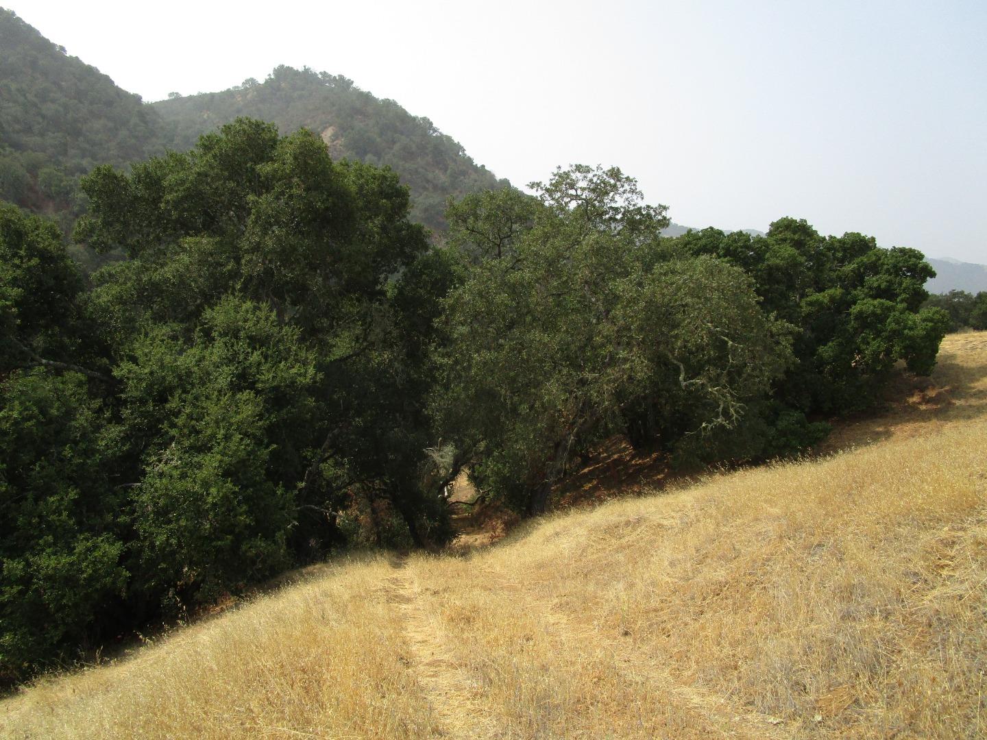 4800E San Juan Canyon Road, SAN JUAN BAUTISTA, California 95045, ,Lots And Land,For Sale,San Juan Canyon Road,40962383