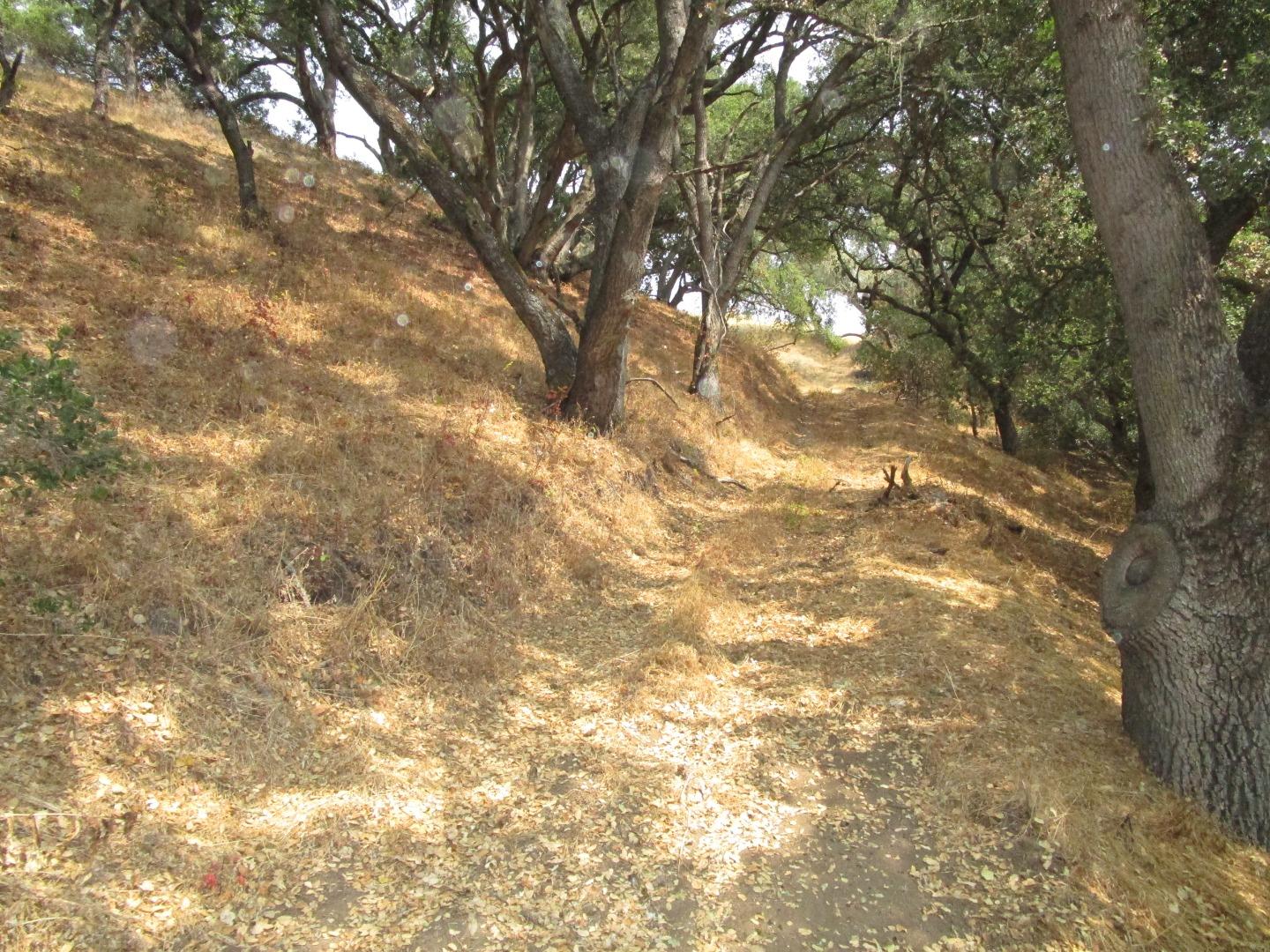 4800E San Juan Canyon Road, SAN JUAN BAUTISTA, California 95045, ,Lots And Land,For Sale,San Juan Canyon Road,40962383