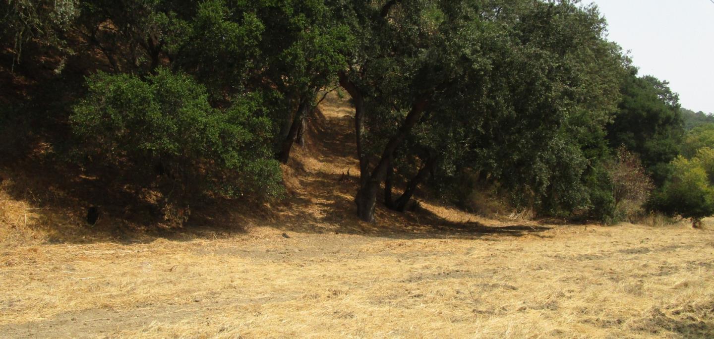 4800E San Juan Canyon Road, SAN JUAN BAUTISTA, California 95045, ,Lots And Land,For Sale,San Juan Canyon Road,40962383