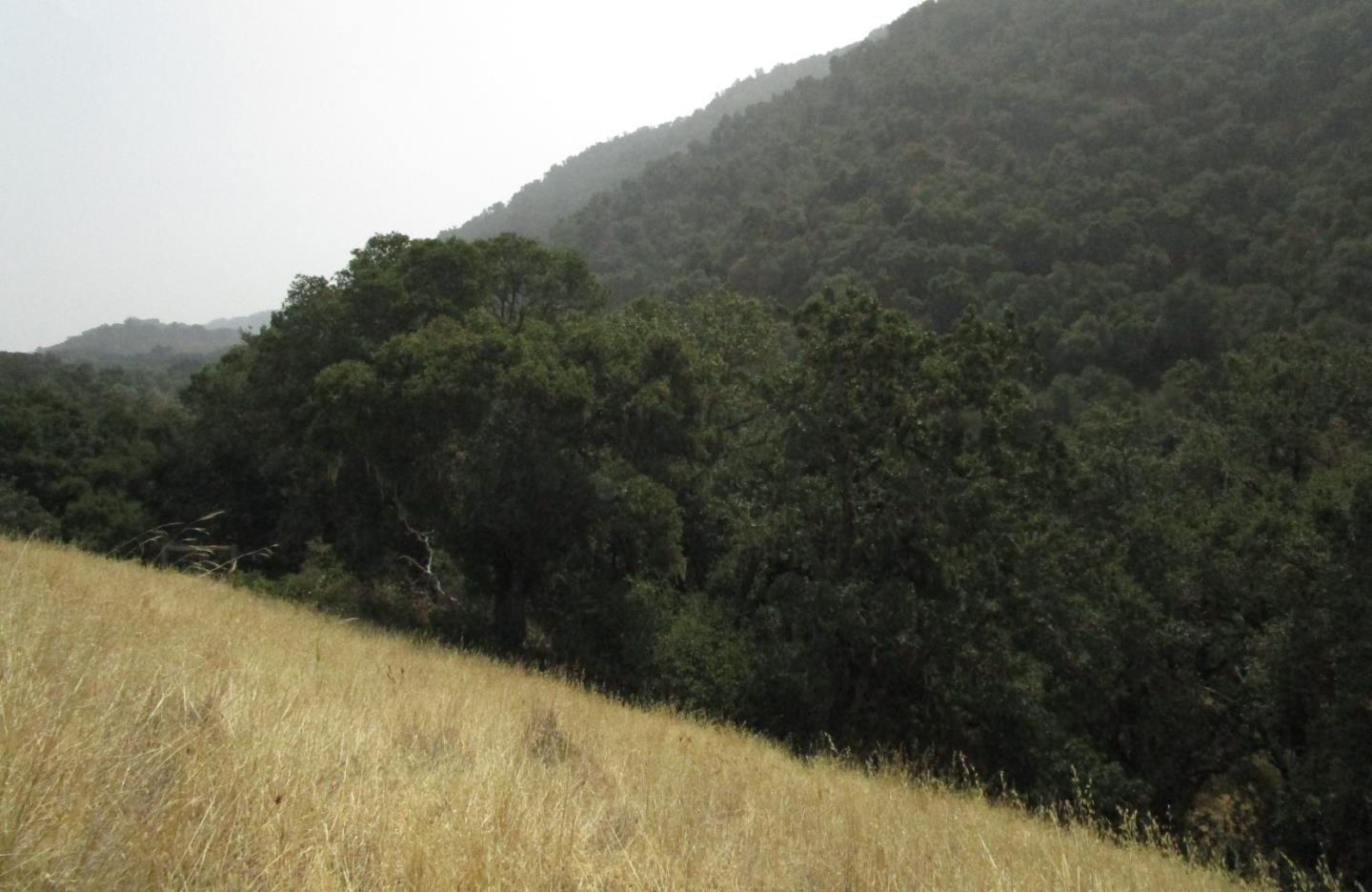 4800E San Juan Canyon Road, SAN JUAN BAUTISTA, California 95045, ,Lots And Land,For Sale,San Juan Canyon Road,40962383