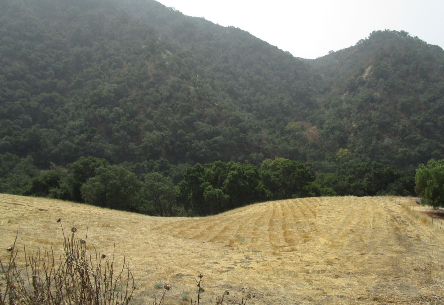 4800E San Juan Canyon Road, SAN JUAN BAUTISTA, California 95045, ,Lots And Land,For Sale,San Juan Canyon Road,40962383