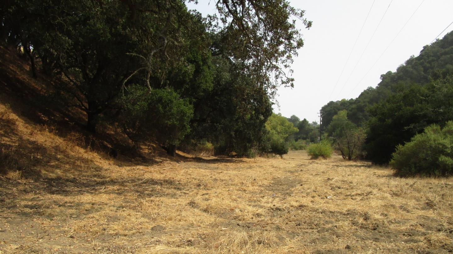 4800E San Juan Canyon Road, SAN JUAN BAUTISTA, California 95045, ,Lots And Land,For Sale,San Juan Canyon Road,40962383