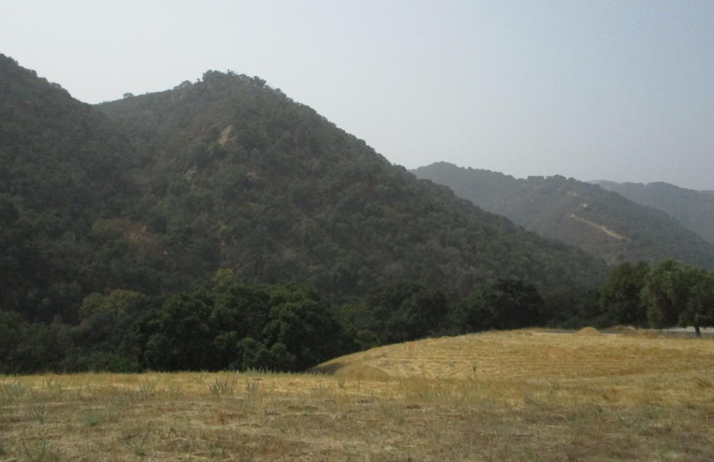 4800E San Juan Canyon Road, SAN JUAN BAUTISTA, California 95045, ,Lots And Land,For Sale,San Juan Canyon Road,40962383