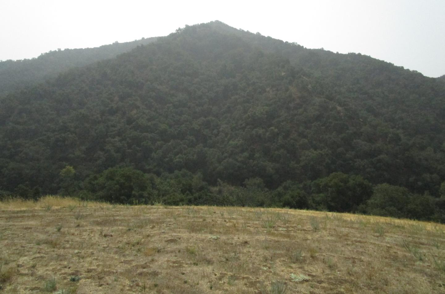 4800E San Juan Canyon Road, SAN JUAN BAUTISTA, California 95045, ,Lots And Land,For Sale,San Juan Canyon Road,40962383