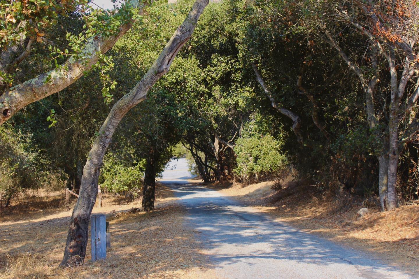 334 San Benancio Road, SALINAS, California 93908, ,Lots And Land,For Sale,San Benancio Road,40962054