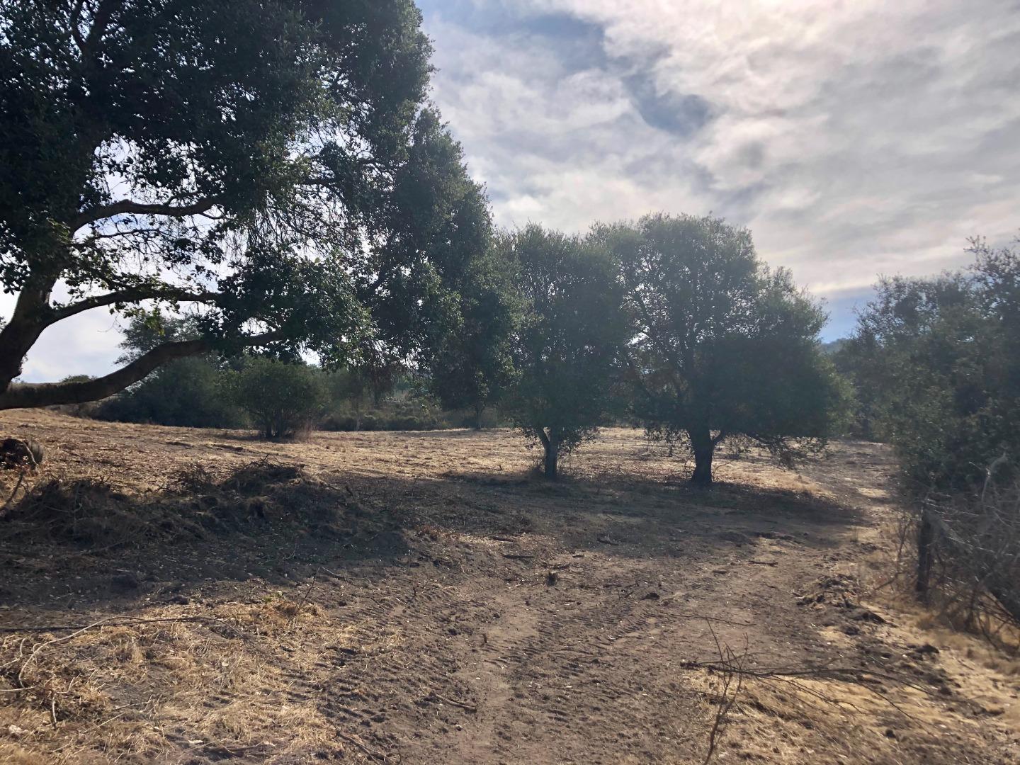 334 San Benancio Road, SALINAS, California 93908, ,Lots And Land,For Sale,San Benancio Road,40962054