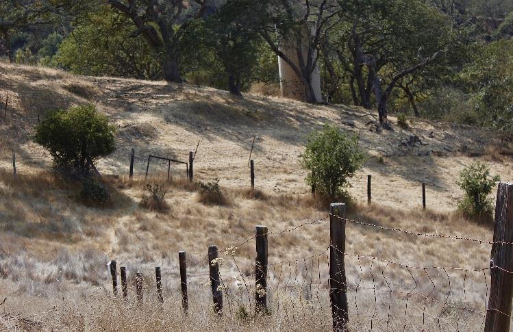 334 San Benancio Road, SALINAS, California 93908, ,Lots And Land,For Sale,San Benancio Road,40962054