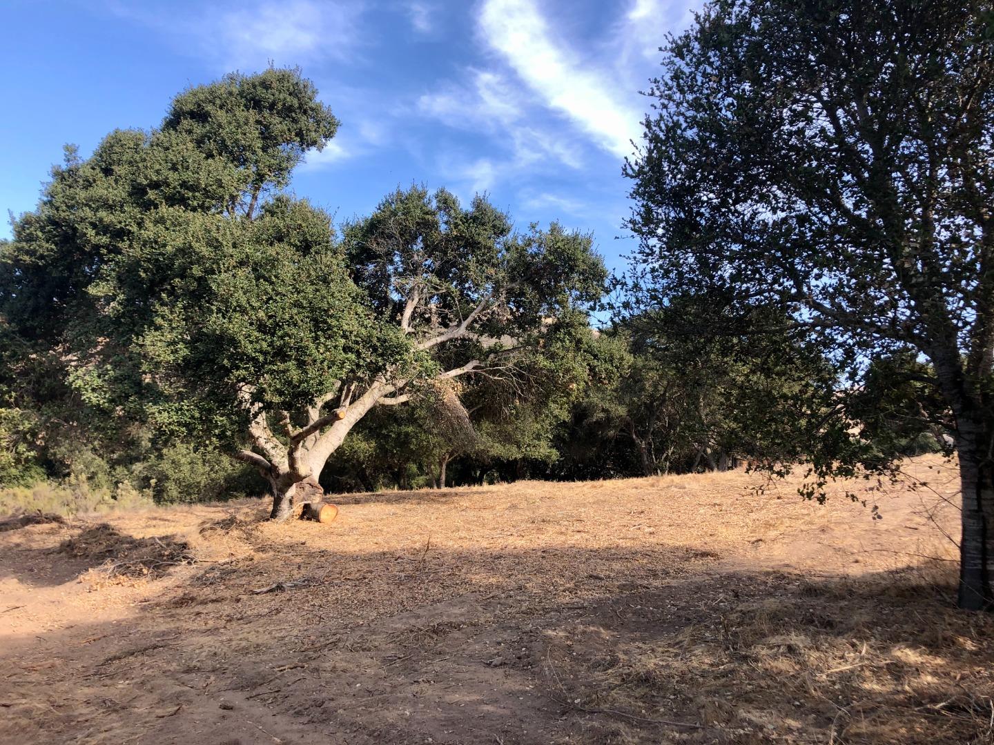 334 San Benancio Road, SALINAS, California 93908, ,Lots And Land,For Sale,San Benancio Road,40962054