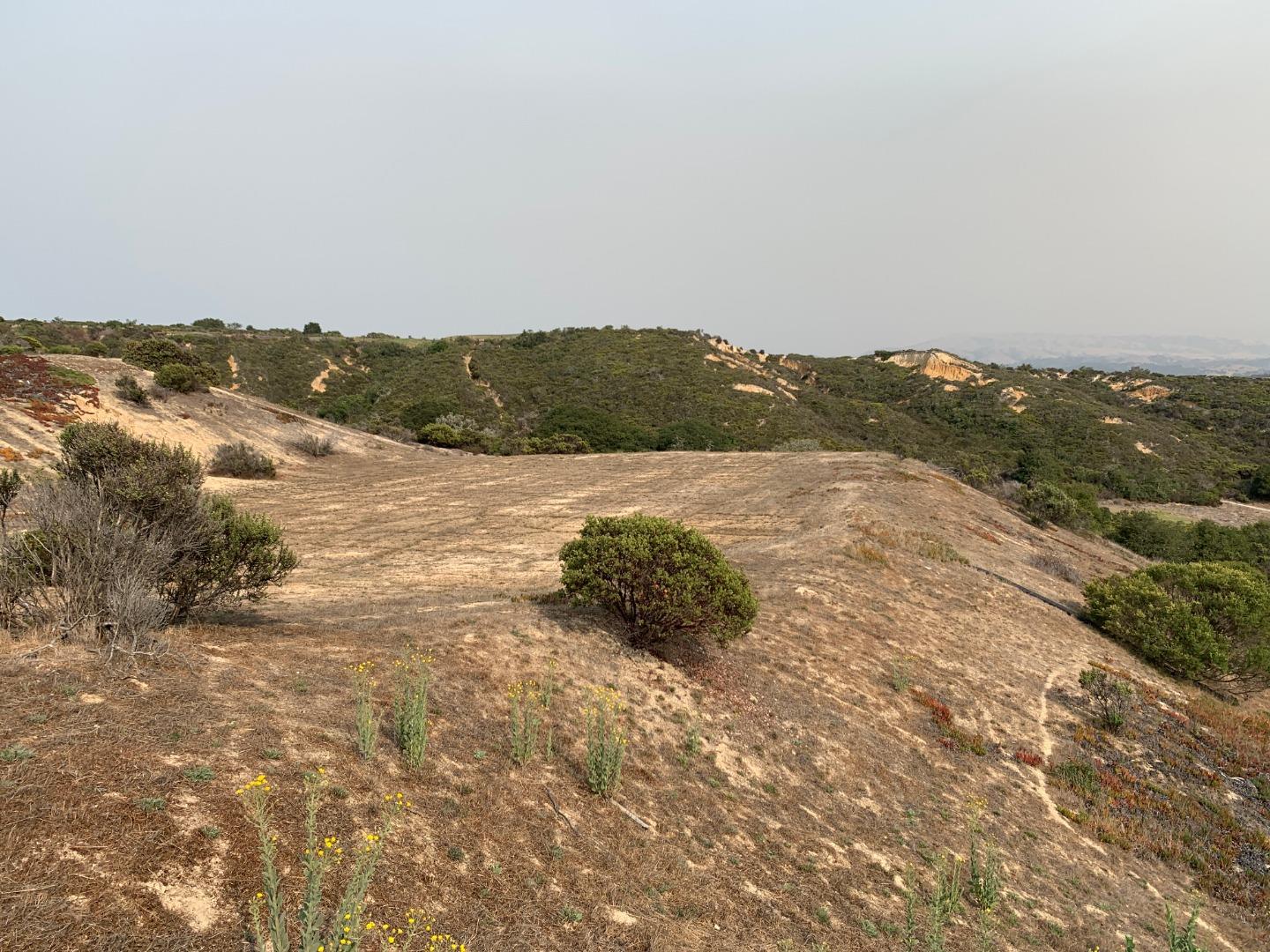 204 Lot 56 Estrella Doro, MONTEREY, California 93940, ,Lots And Land,For Sale,Estrella Doro,40962039