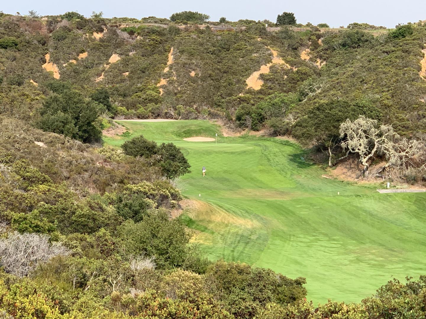 204 Lot 56 Estrella Doro, MONTEREY, California 93940, ,Lots And Land,For Sale,Estrella Doro,40962039