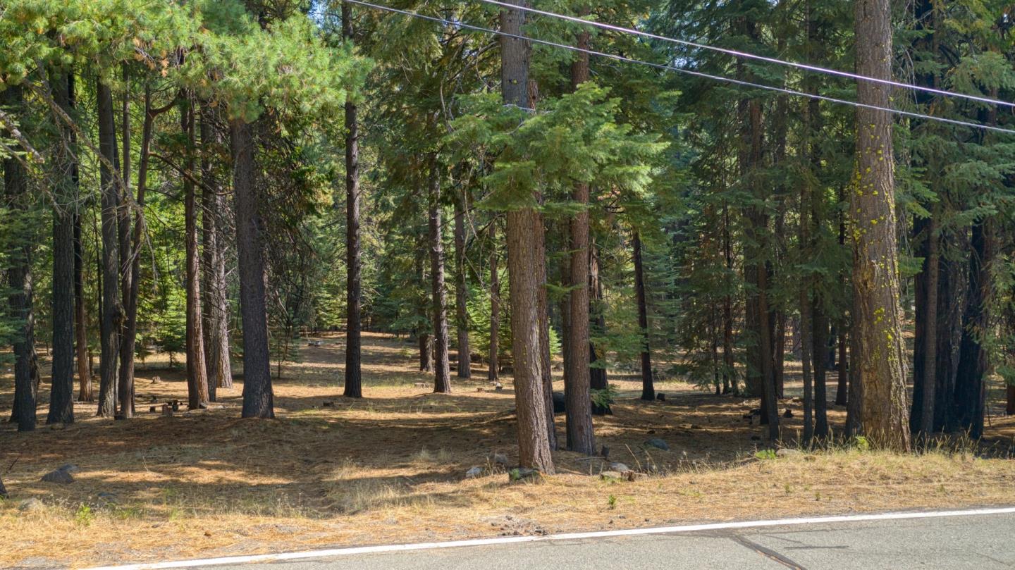615 Deep Forest Road, WESTWOOD, California 96137, ,Lots And Land,For Sale,Deep Forest Road,40964379