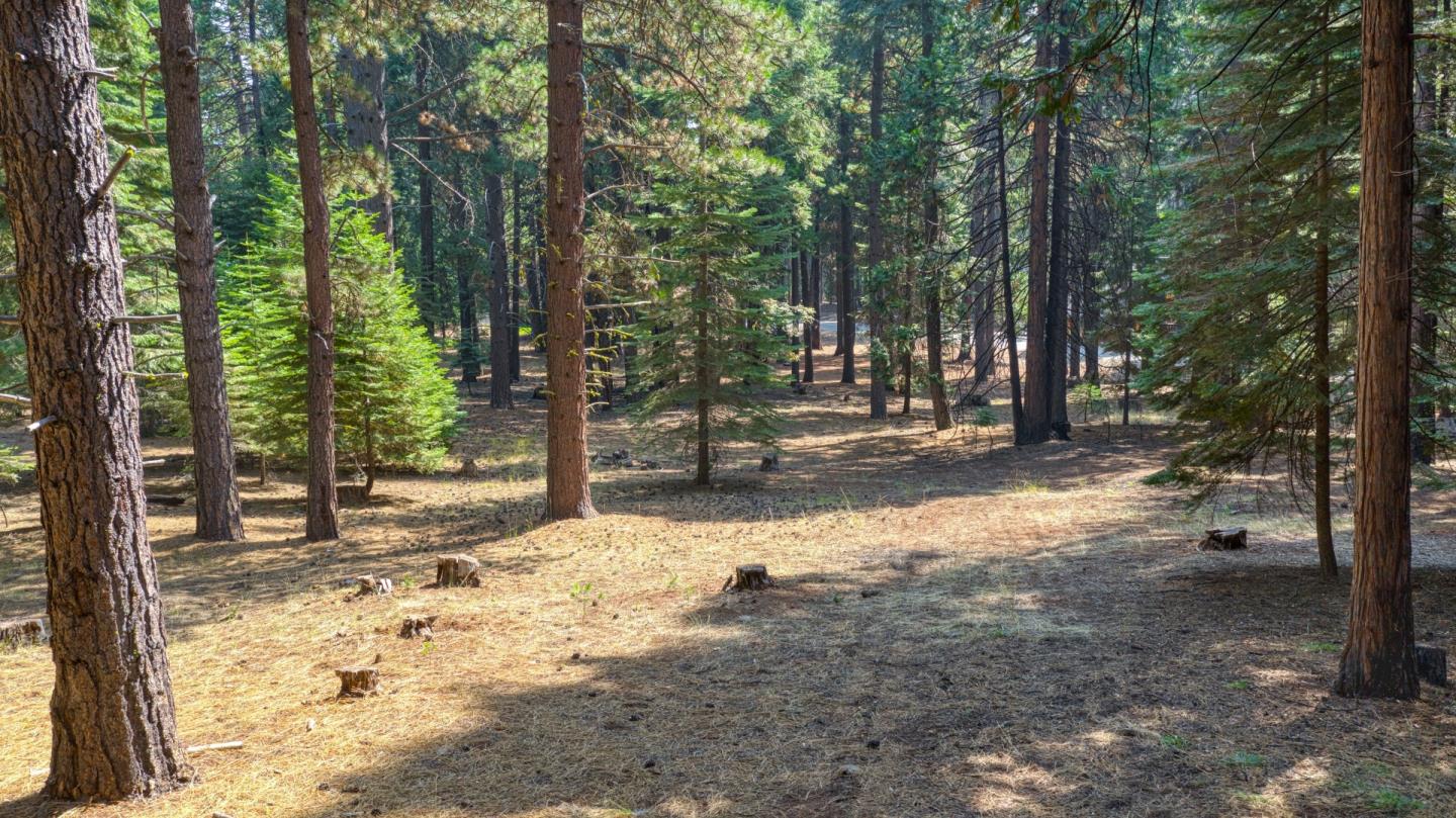 615 Deep Forest Road, WESTWOOD, California 96137, ,Lots And Land,For Sale,Deep Forest Road,40964379