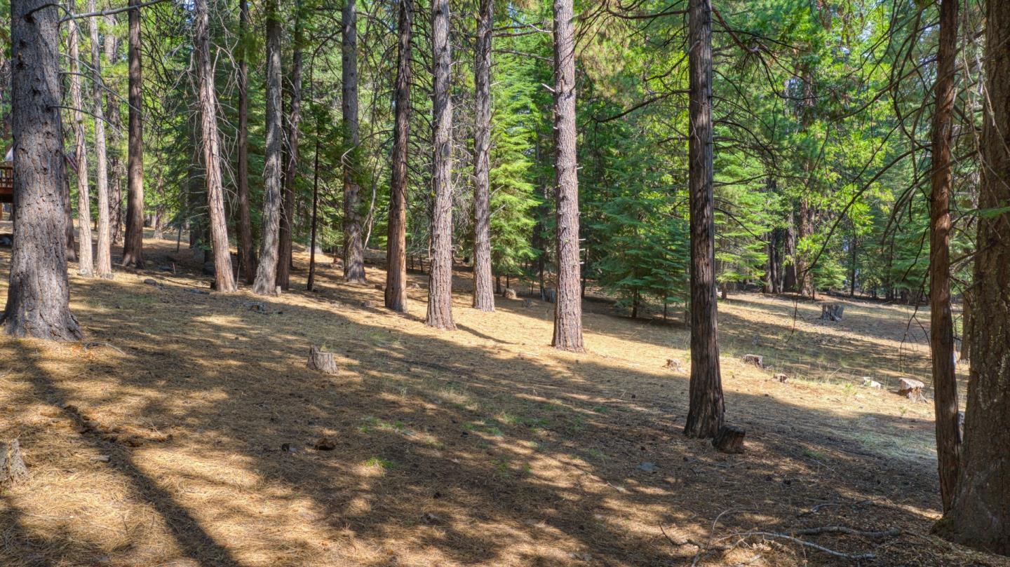 615 Deep Forest Road, WESTWOOD, California 96137, ,Lots And Land,For Sale,Deep Forest Road,40964379