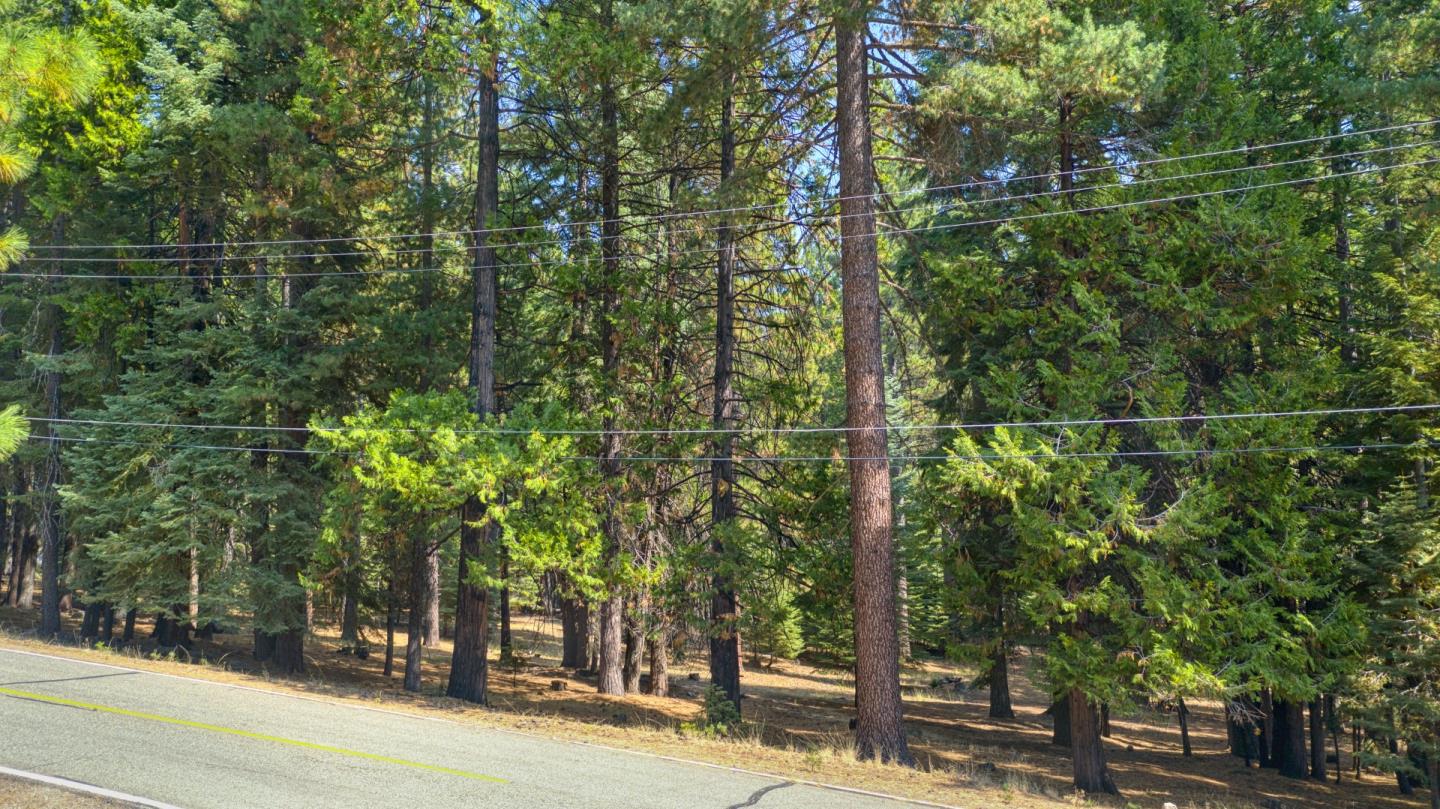 615 Deep Forest Road, WESTWOOD, California 96137, ,Lots And Land,For Sale,Deep Forest Road,40964379