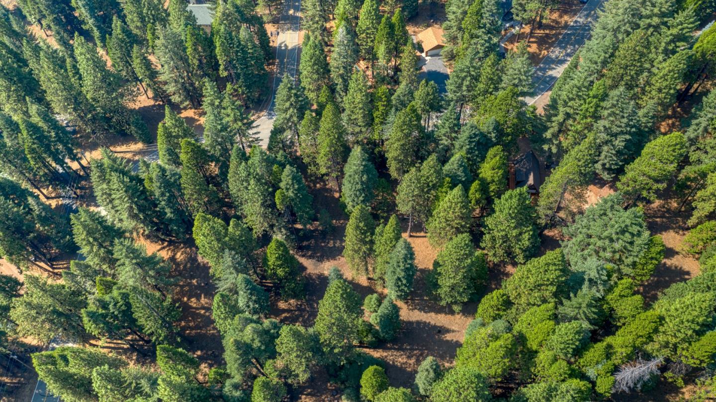 615 Deep Forest Road, WESTWOOD, California 96137, ,Lots And Land,For Sale,Deep Forest Road,40964379