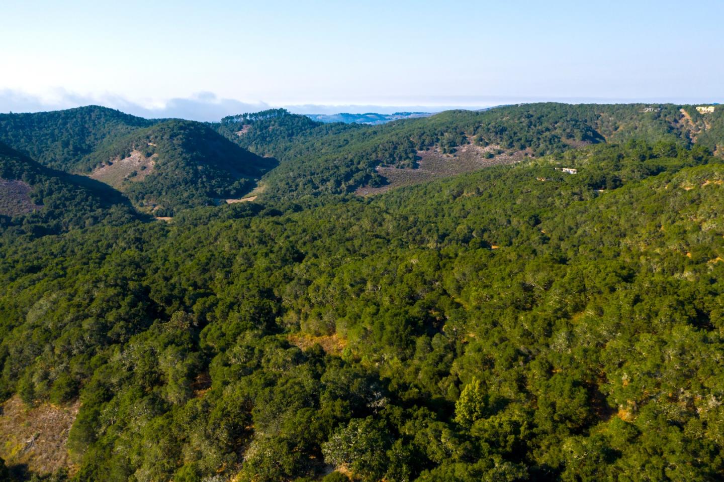 2 Corral Run, CARMEL, California 93923, ,Lots And Land,For Sale,Corral Run,40963231