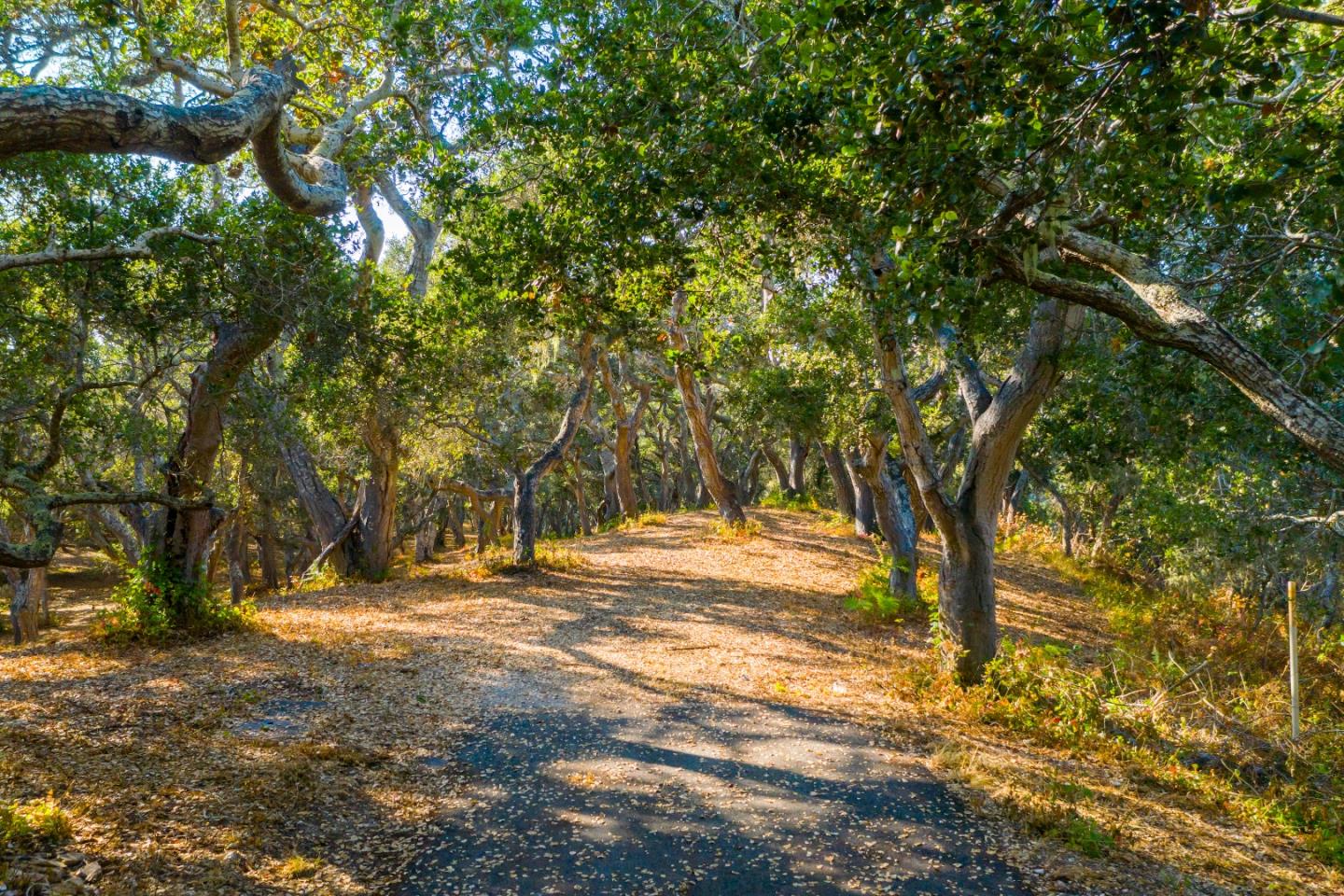 2 Corral Run, CARMEL, California 93923, ,Lots And Land,For Sale,Corral Run,40963231