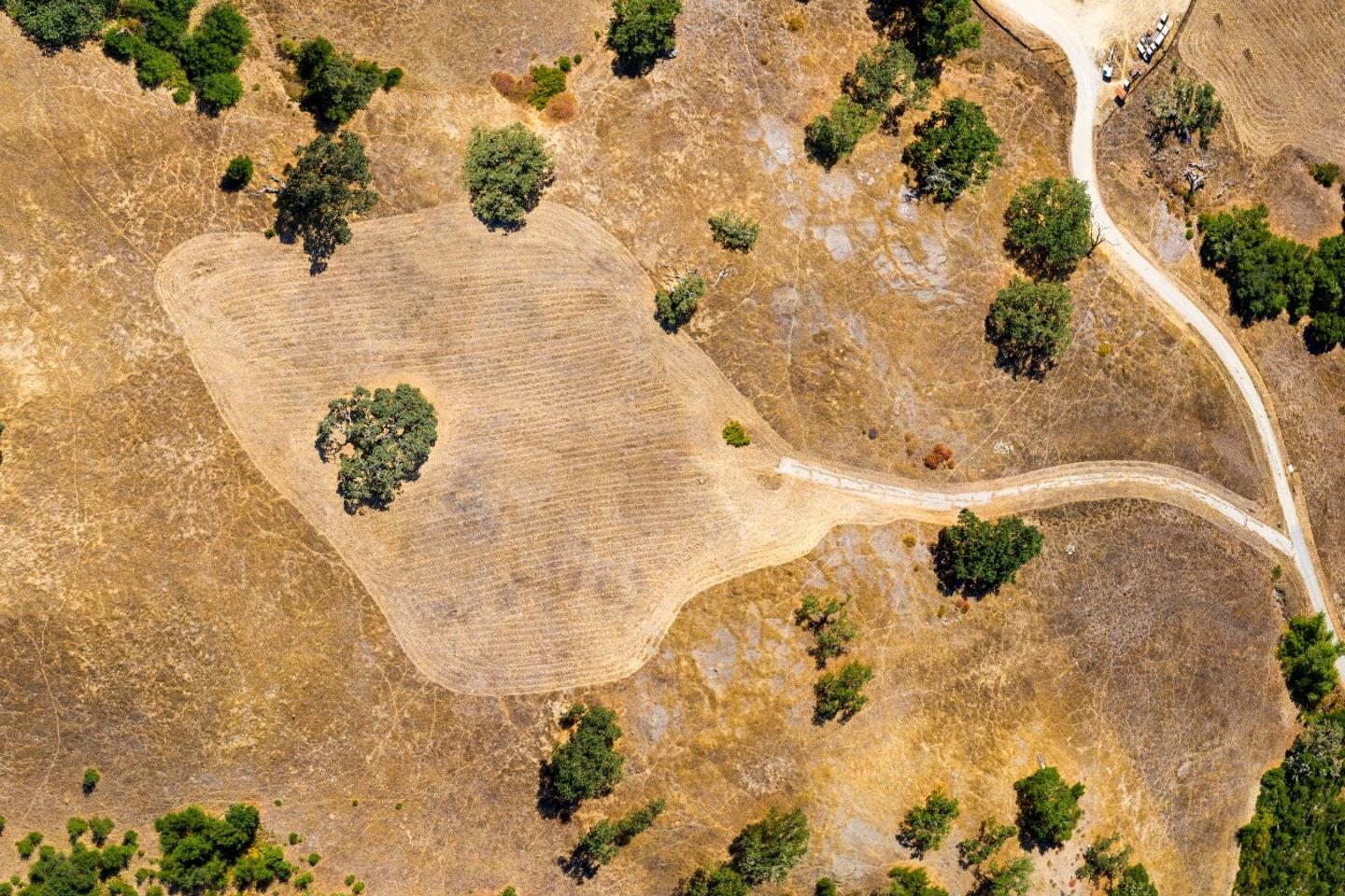 13 Touche Pass, CARMEL, California 93923, ,Lots And Land,For Sale,Touche Pass,40964225