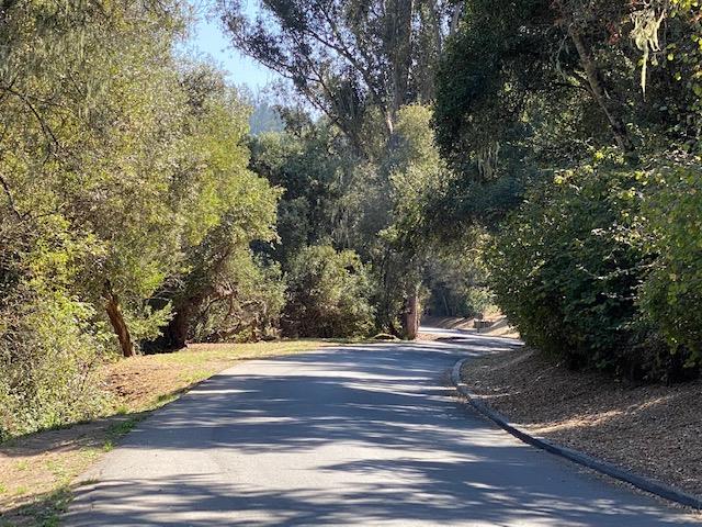 615 Senda Ladera, WATSONVILLE, California 95076, ,Lots And Land,For Sale,Senda Ladera,40963232