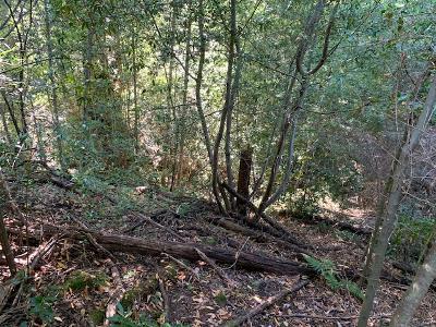 0 Croy Ridge Road, MORGAN HILL, California 95037, ,Lots And Land,For Sale,Croy Ridge Road,40962363