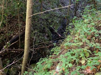 0 Croy Ridge Road, MORGAN HILL, California 95037, ,Lots And Land,For Sale,Croy Ridge Road,40962363