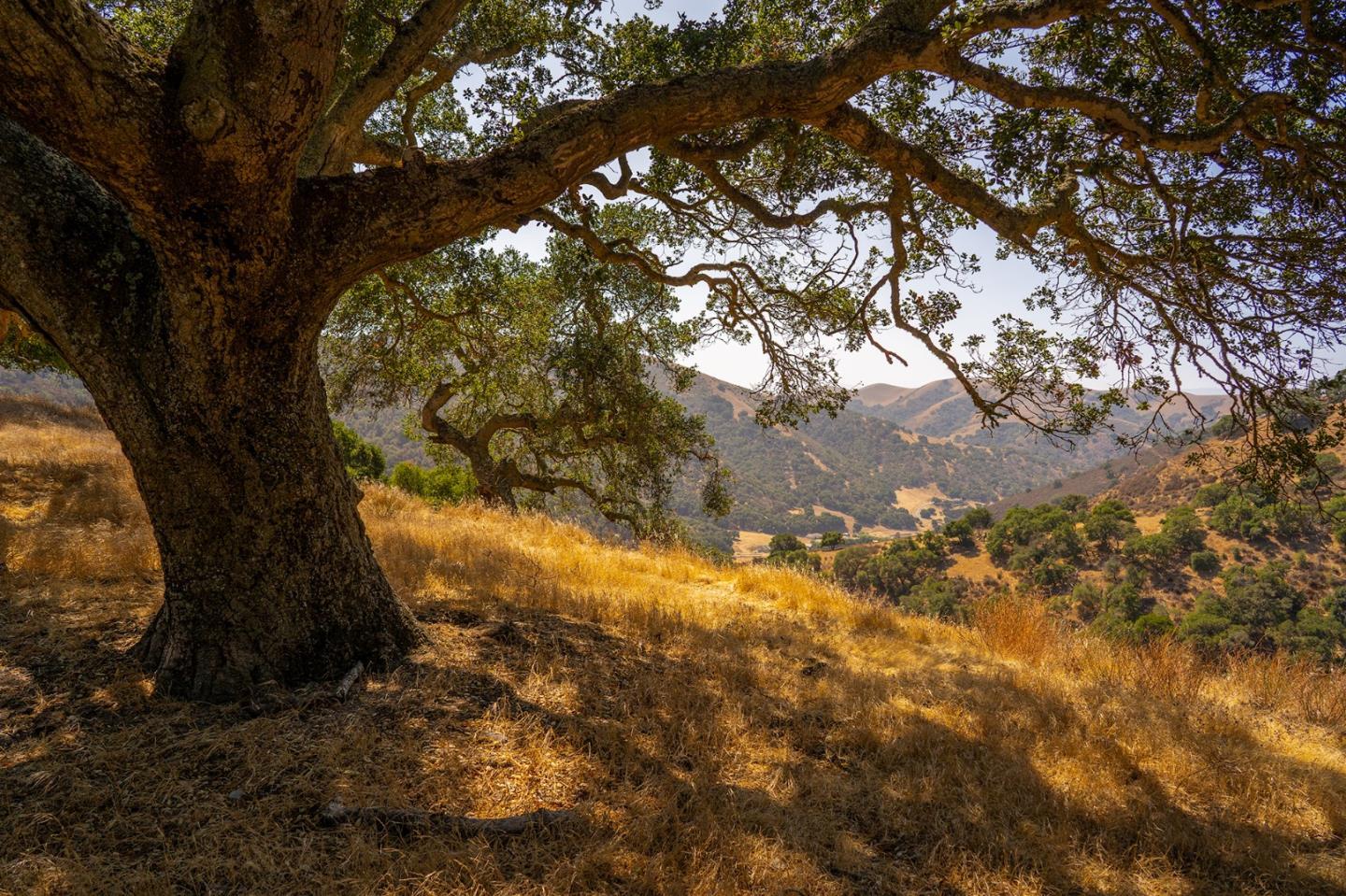 34021 Chualar Canyon Rd, Chualar, CA 93925 Beds Baths (Expired