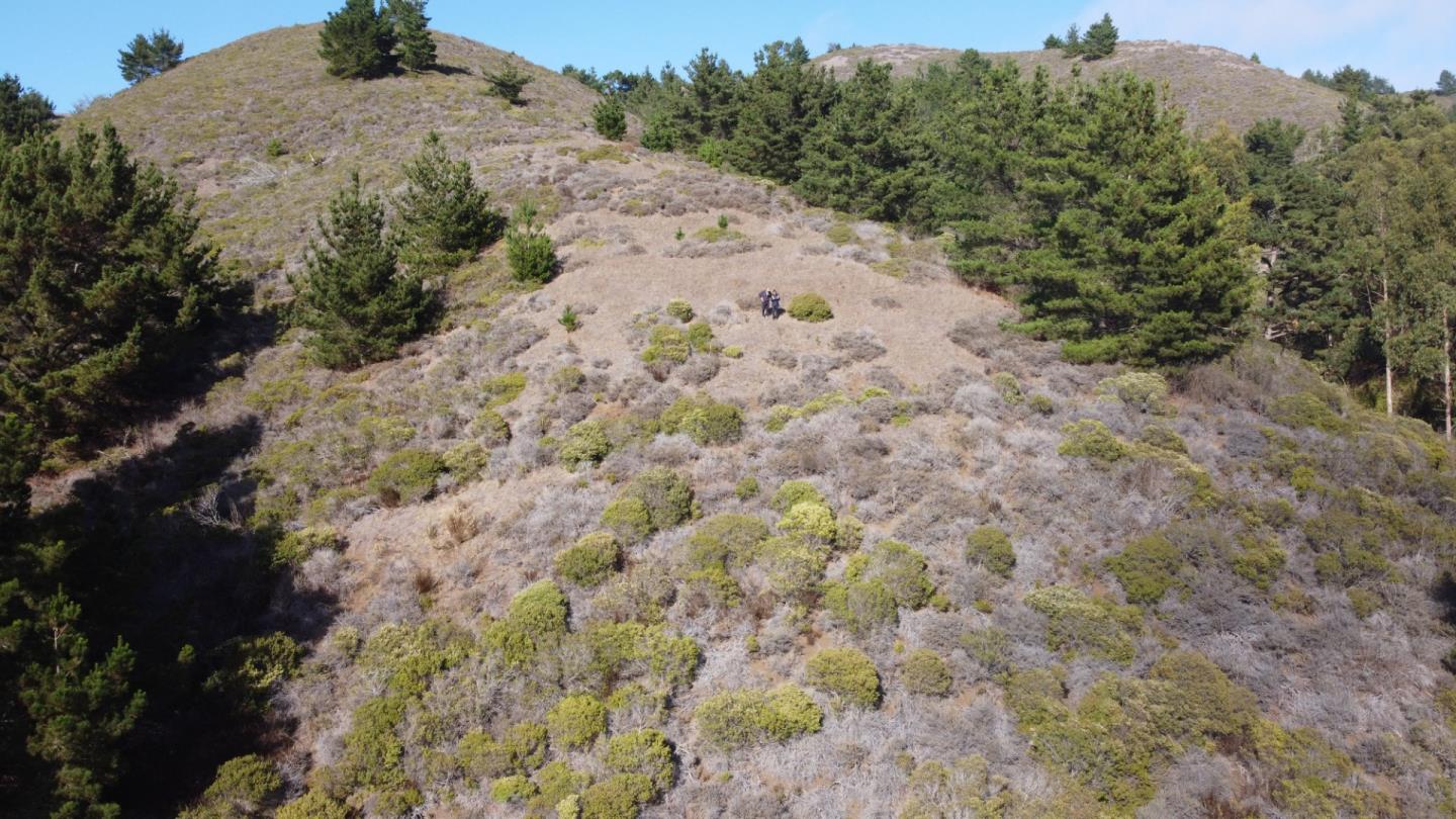 0 Calera Terrace, PACIFICA, California 94044, ,Lots And Land,For Sale,Calera Terrace,40963441