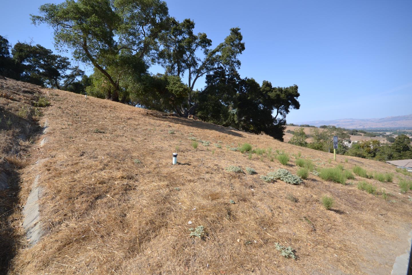 9035 Tea Tree Way, GILROY, California 95020, ,Lots And Land,For Sale,Tea Tree Way,40962372