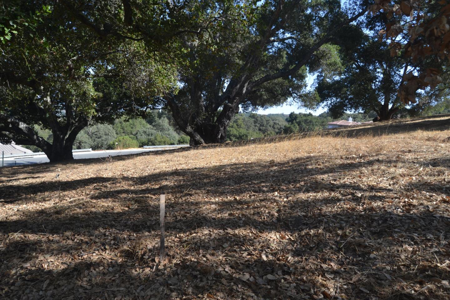 9035 Tea Tree Way, GILROY, California 95020, ,Lots And Land,For Sale,Tea Tree Way,40962372