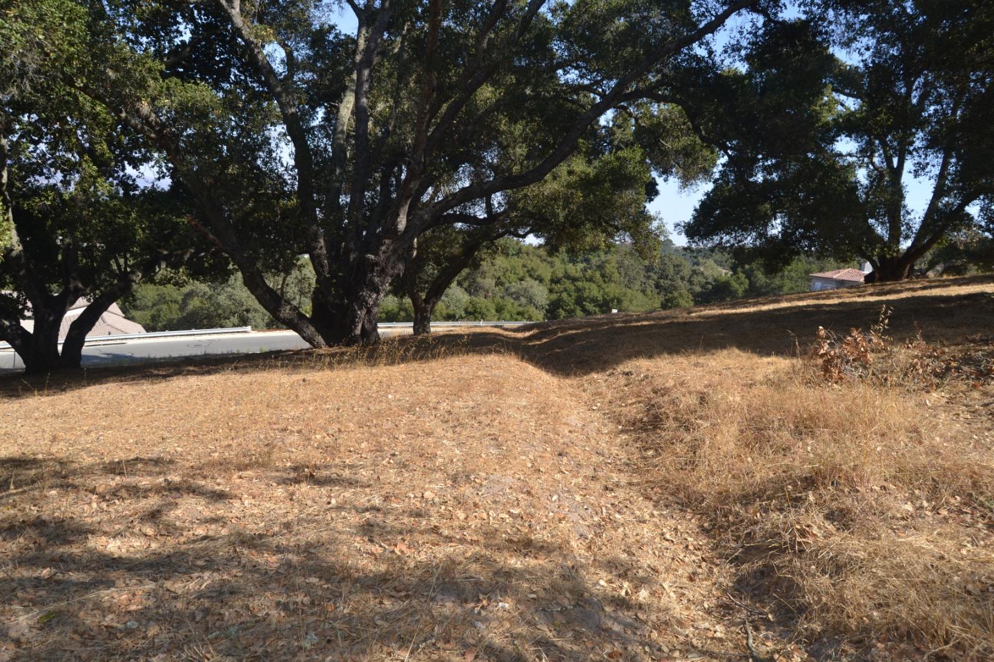 9035 Tea Tree Way, GILROY, California 95020, ,Lots And Land,For Sale,Tea Tree Way,40962372