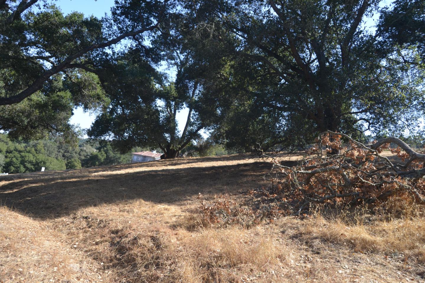 9035 Tea Tree Way, GILROY, California 95020, ,Lots And Land,For Sale,Tea Tree Way,40962372