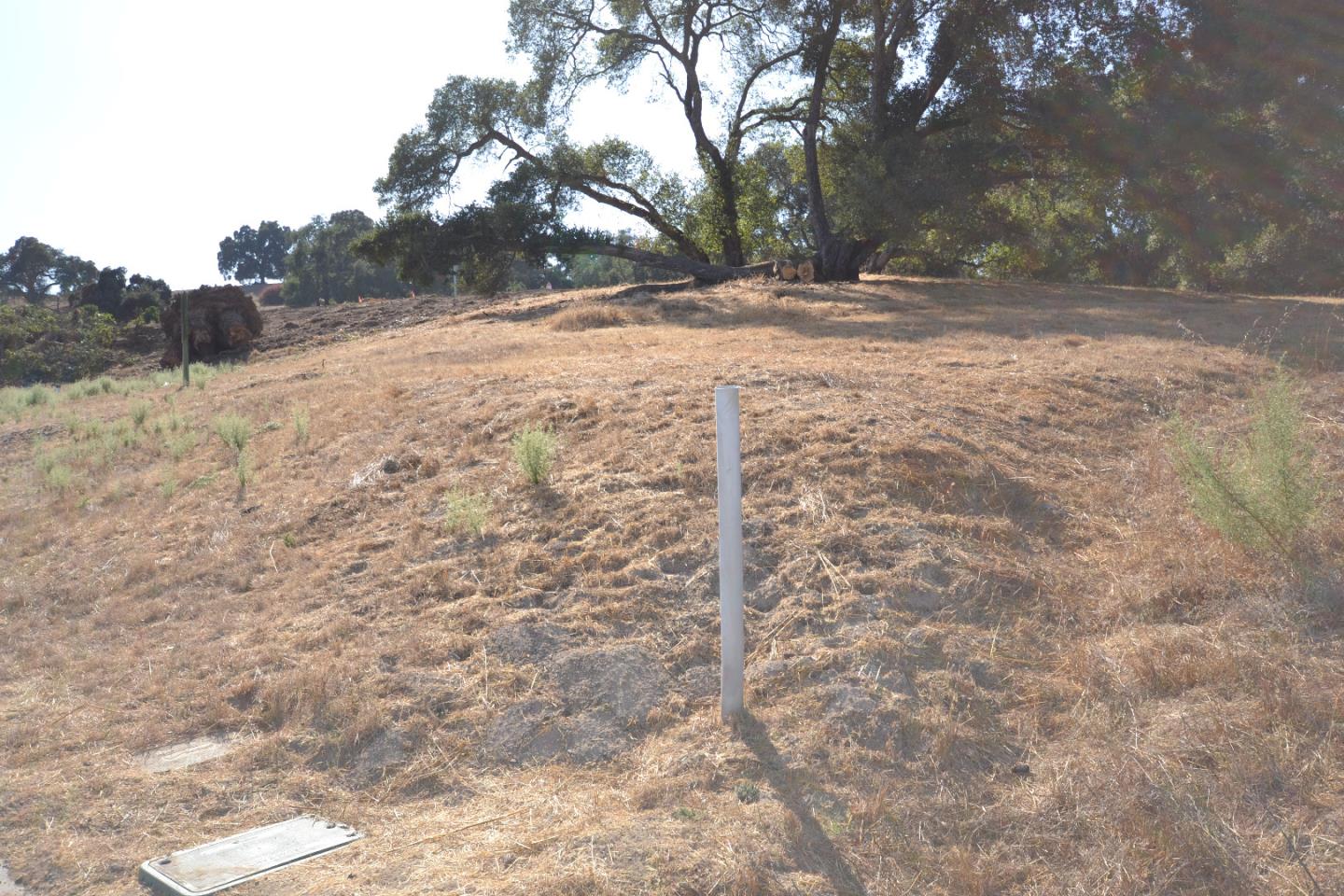 9035 Tea Tree Way, GILROY, California 95020, ,Lots And Land,For Sale,Tea Tree Way,40962372