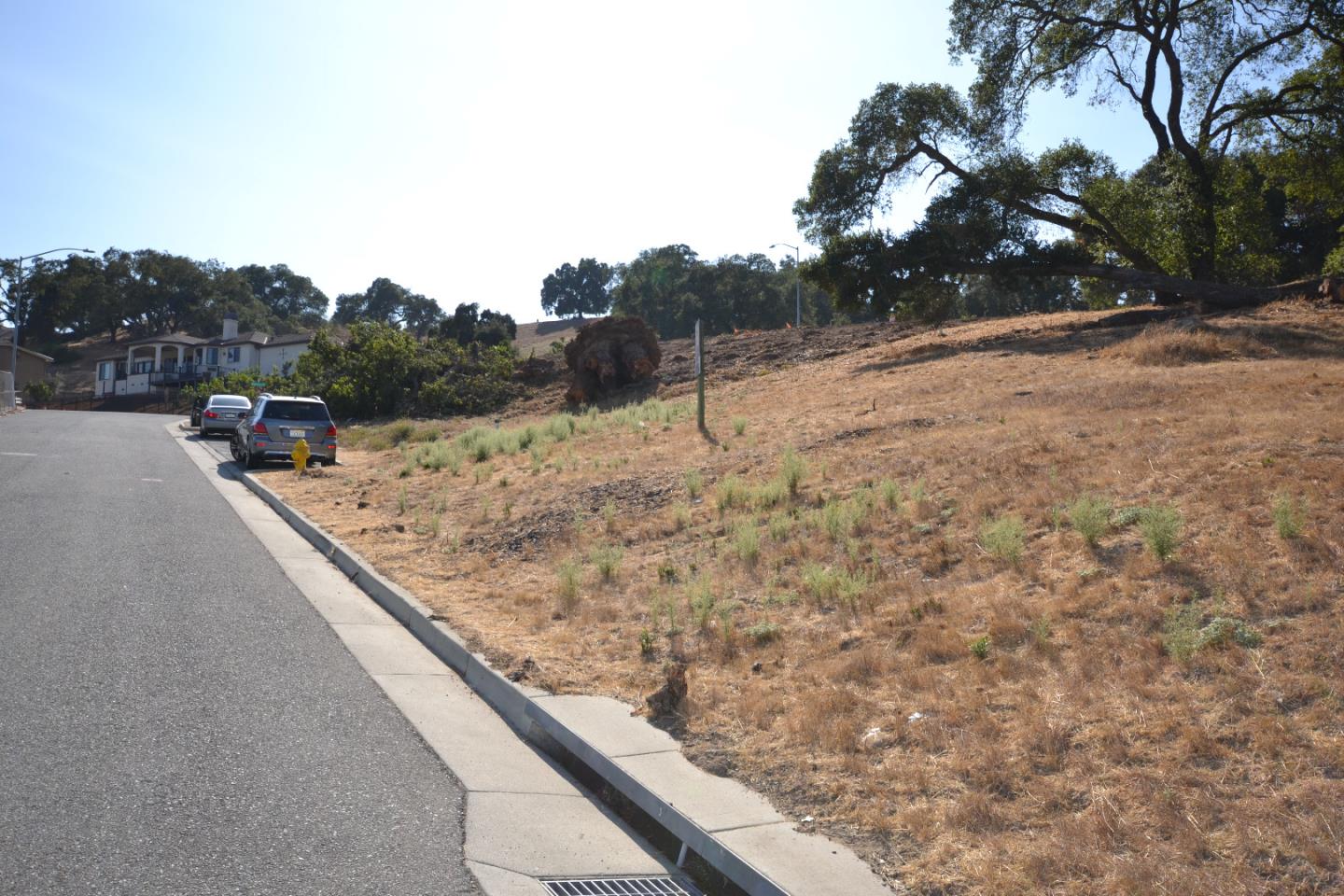 9035 Tea Tree Way, GILROY, California 95020, ,Lots And Land,For Sale,Tea Tree Way,40962372