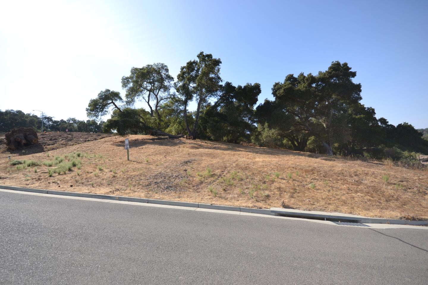 9035 Tea Tree Way, GILROY, California 95020, ,Lots And Land,For Sale,Tea Tree Way,40962372
