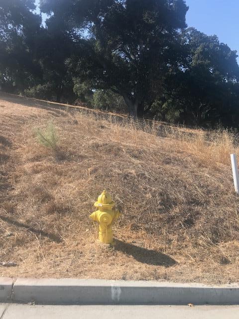 9035 Tea Tree Way, GILROY, California 95020, ,Lots And Land,For Sale,Tea Tree Way,40962372
