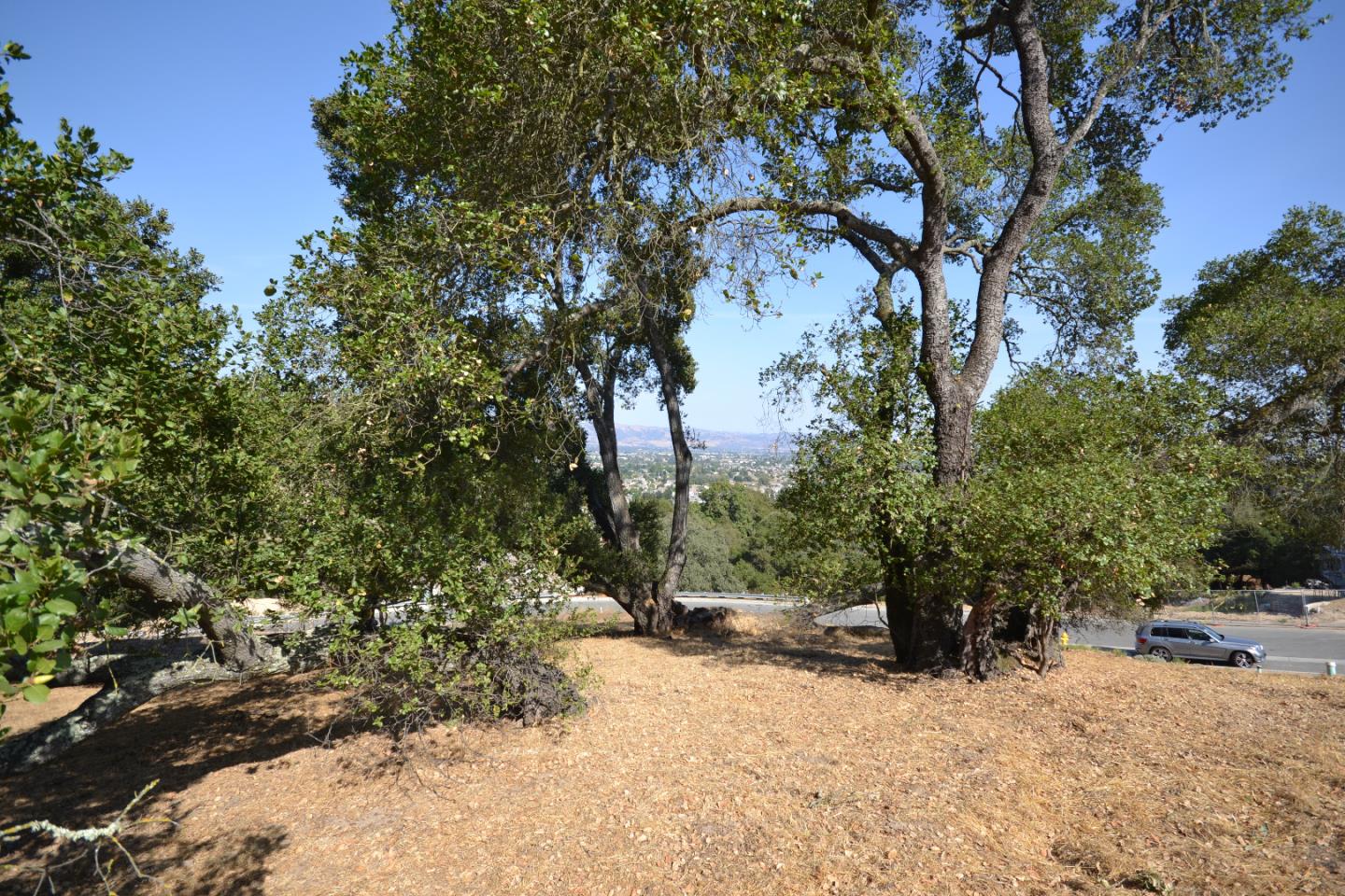 9035 Tea Tree Way, GILROY, California 95020, ,Lots And Land,For Sale,Tea Tree Way,40962372