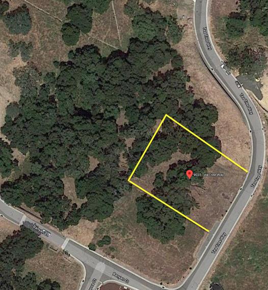 9035 Tea Tree Way, GILROY, California 95020, ,Lots And Land,For Sale,Tea Tree Way,40962372