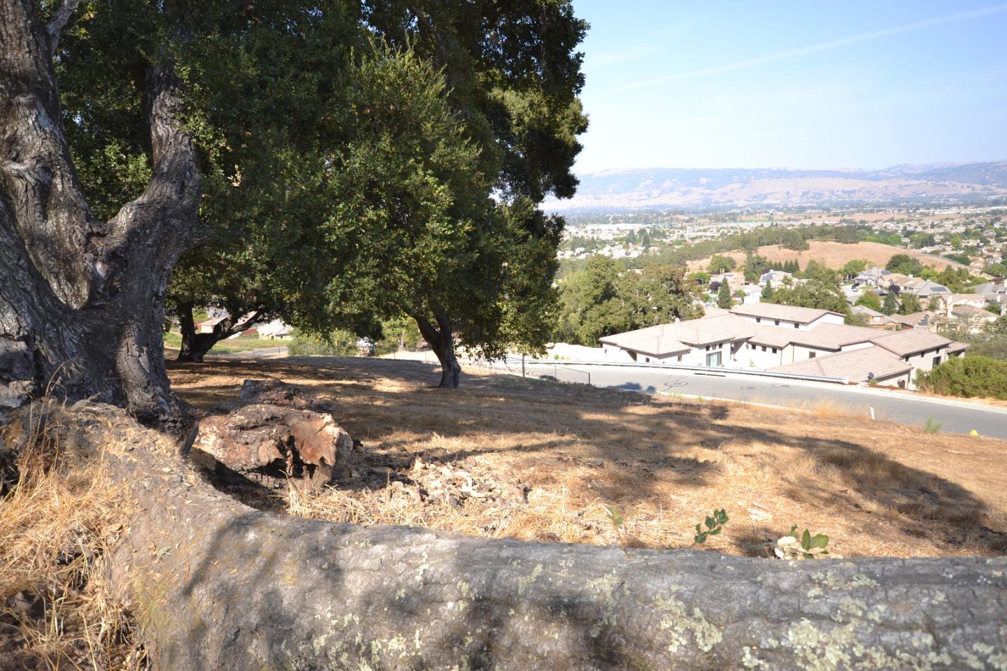 9035 Tea Tree Way, GILROY, California 95020, ,Lots And Land,For Sale,Tea Tree Way,40962372