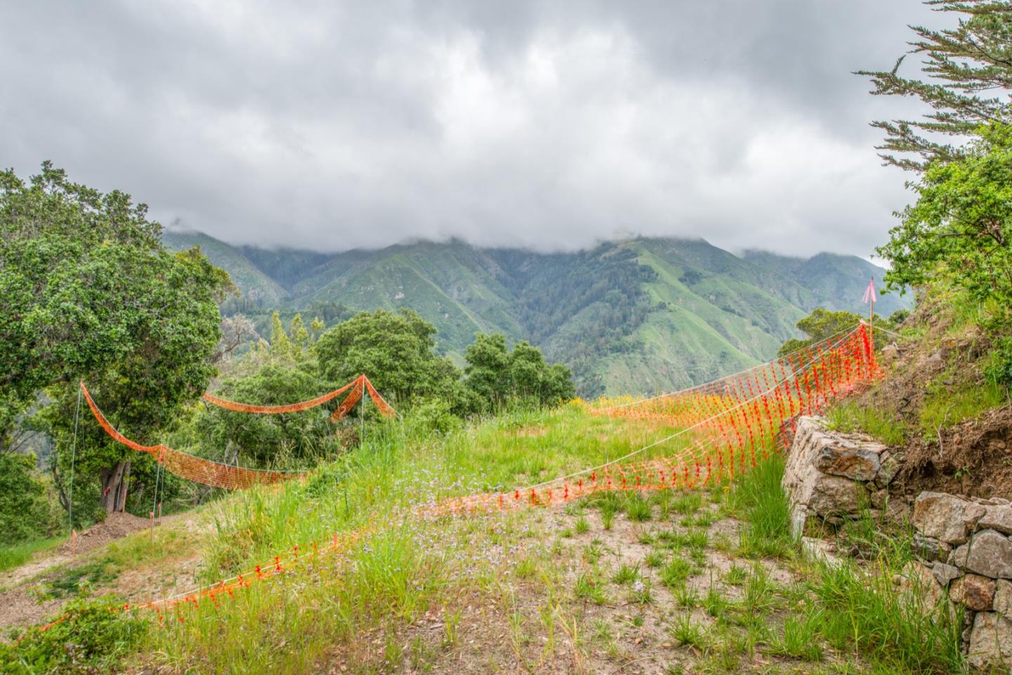 46199 Clear Ridge Road, BIG SUR, California 93920, ,Lots And Land,For Sale,Clear Ridge Road,40961921